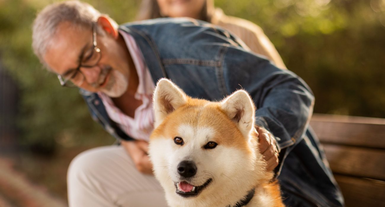 Cheerful european mature couple sit on bench with dog, enjoy date together, walk with animal in park at weekend in summer, outdoor. Pet love, romance, free time and lifestyle