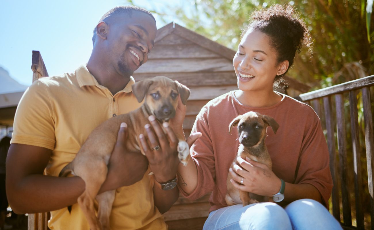 Dog, animal shelter and rescue with a black couple holding a puppy for adoption at a welfare kennel.