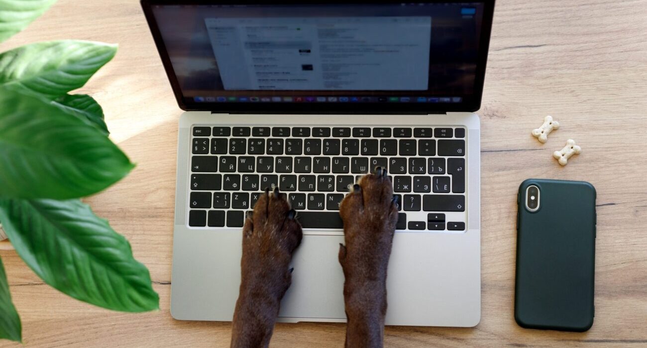 dog-paws-on-a-laptop-keyboard-dog-typing-a-messag-2022-11-14-01-06-55-utc