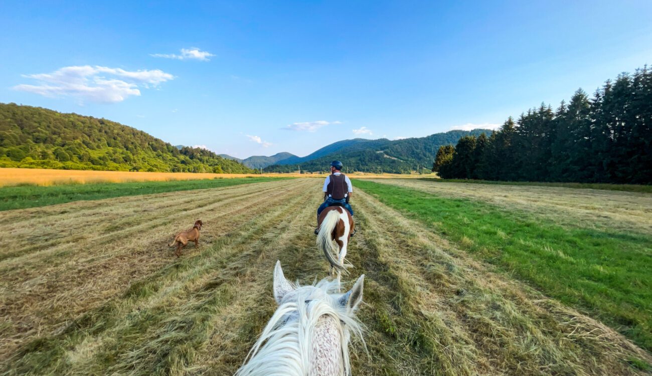 horse-riding-with-my-dad-and-dog-2022-09-21-21-16-18-utc