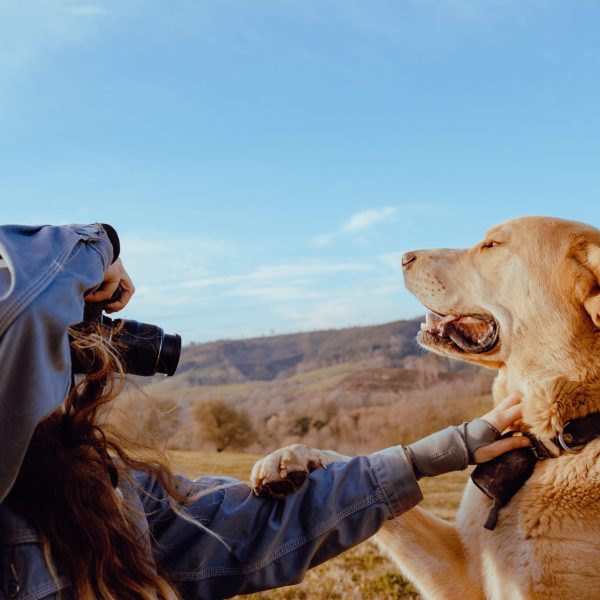 Side view of young woman shooting on camera funny dog between meadow and blue sky